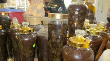  Hà Nội: Nữ sinh ngộ độc rượu ngâm hoa anh túc