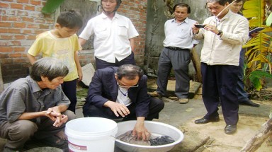 Chưa xác định được “sinh vật lạ” là con gì