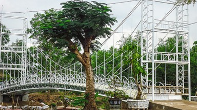 Sóc Trăng:Dự án “chui” được vay hàng tỷ đồng