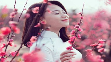 Dự báo thời tiết trước trong và sau Tết Nguyên đán Kỷ hợi