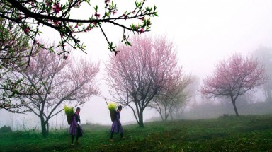 Dự báo thời tiết Tết: Nam Bộ nắng nóng tới 36 độ C, Bắc Bộ rét ngọt và có mưa Xuân