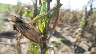 Thời tiết sẽ khắc nghiệt hơn cả dự báo của Liên Hiệp Quốc