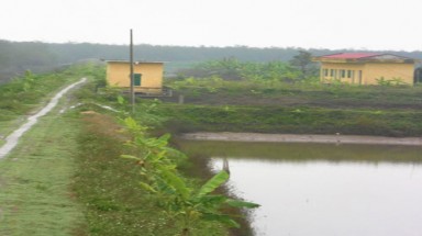  Bàn tay của giang hồ trong vụ thu hồi đất ở Tiên Lãng - Hải Phòng ?