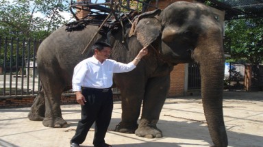  Đẻ được voi lấy hàng trăm triệu