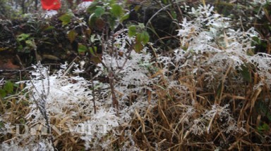 Miền Bắc: Rét đậm sẽ kéo dài đến gần Tết Nguyên đán