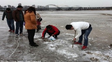  Cá đông lạnh từ dòng sông đóng băng