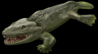  Xuất hiện loài cá thú đầu tiên sống trên mặt đất