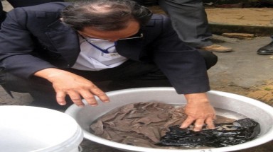 Phú Yên: Tìm ra nguồn gốc quần áo có 'sinh vật lạ'