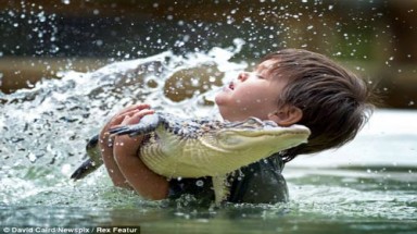 Cậu bé 3 tuổi chơi đùa với cá sấu