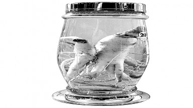 Rượu nhân sâm giúp tăng cường sinh lực đàn ông?