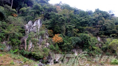  Li kỳ chuyện trăn khổng lồ cứu dân bản khỏi bầy thú dữ