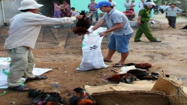 Công an phường xin lỗi.. Vụ gí súng đập chết gà!