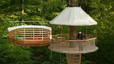 Cận cảnh những "thiên đường" trên cây tuyệt đẹp