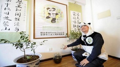 Trà “đắt nhất thế giới” được trồng bằng phân gấu trúc