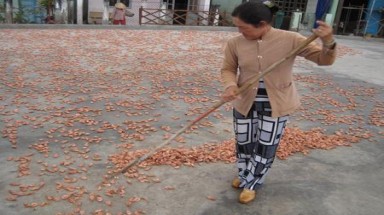 'Công nghệ' chế biến tôm khô tẩm hóa chất