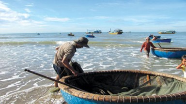  Xuất hiện tôm hùm “vàng” trên biển Phan Rí