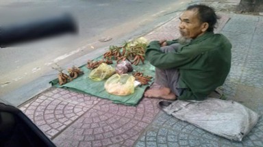 Bất ngờ với sự thật về "ông lão trèo me khiến dân mạng rơi lệ"