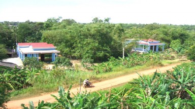 Bức tường xanh ngăn chặn biển xâm lấm
