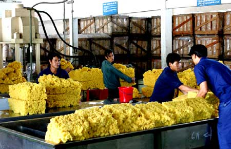 Nhật Bản hỗ trợ giảm thiểu tác động của hiệu ứng nhà kính