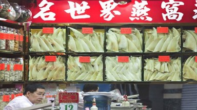 Vi cá mập Trung Quốc: Ăn vào dễ chết!