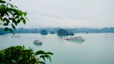 Báo nước ngoài lo ngại vịnh Hạ Long bị quá tải, ô nhiễm