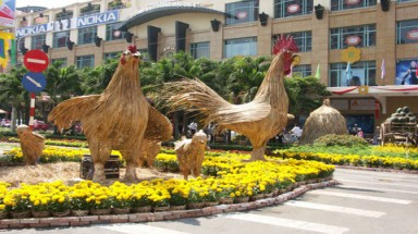 Mỗi con đường góp một chút hương xuân