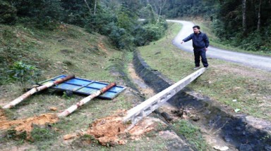  Voi rừng quậy trên đường