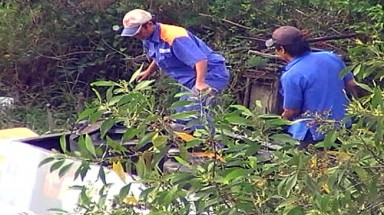 Một kiểu kinh doanh tội ác?
