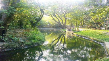 Thảo Cầm Viên và những bí mật lạ lùng