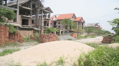 Biệt thự triệu đô xây cho... bò ở