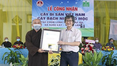 Trao Bằng công nhận cây di sản tại chùa Linh Sơn Pháp Ấn