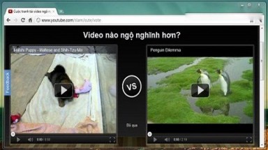  Cách sử dụng YouTube tốt nhất