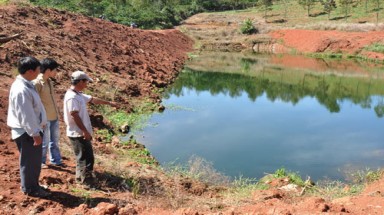 Trang trại chăn nuôi Lâm Đồng gây ô nhiễm