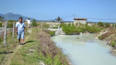  Nhà máy tuyển cát hại dân