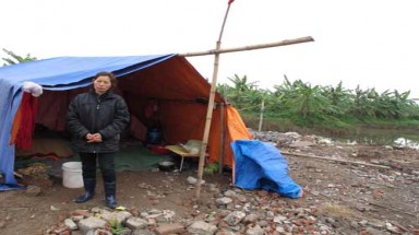 Cứ theo luật mà làm