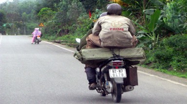 Quảng Nam: Phá rừng như... trẩy hội