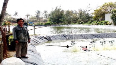  Bình Định: Đua nhau phá vườn, đào ao nuôi tôm