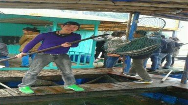 Về Hạ Long ăn cá có giá trên 10 triệu đồng