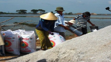  Bà Rịa - Vũng Tàu:Diêm dân lao đao vì mưa trái mùa