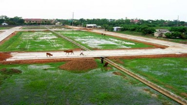  Nhiều sai phạm trong quản lý đất đai ở An Giang
