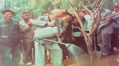 Tư tưởng Hồ Chí Minh về trồng cây và bảo vệ môi trường