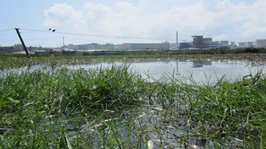  Có đóng cửa nhà máy Bio – Ethanol Dung Quất ?