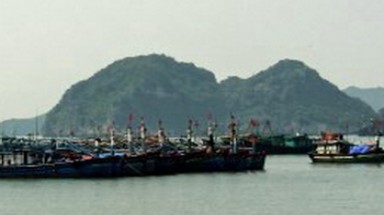  Tháo gỡ khó khăn về nguồn nước cung cấp cho Cát Bà