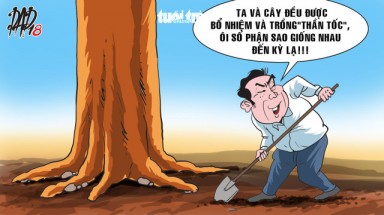 Từ bao giờ có Tết trồng cây... cổ thụ!