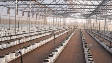  Đồng Nai: Chuyển công an điều tra vụ giám đốc sở ưu ái công ty của vợ