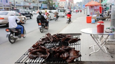 Lời kêu gọi sau phát hiện lò mổ chó 'tồi tệ nhất Đông Nam Á'