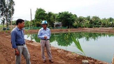 Tây Ninh tạm dừng cấp phép các dự án đào ao nuôi trồng thủy sản trên đất trồng lúa