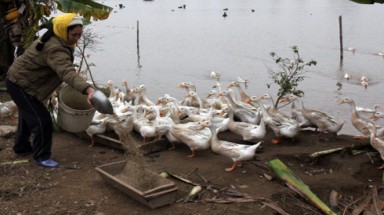  Kiểm tra việc giao đất ven biển