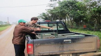  Thả tự do 37 cá thể động vật hoang dã 