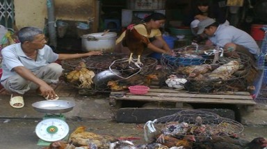 TPHCM: Gia cầm từ vùng dịch đang tràn vào thành phố